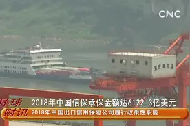 2018年中国信保承保金额达6122.3亿美元视频封面