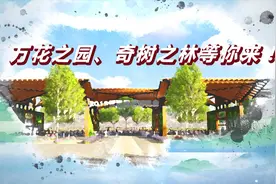100天后 万花之园等你来！视频封面