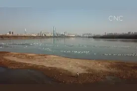 AI合成主播￨河南三门峡：一座生态城市的“天鹅之约”视频封面