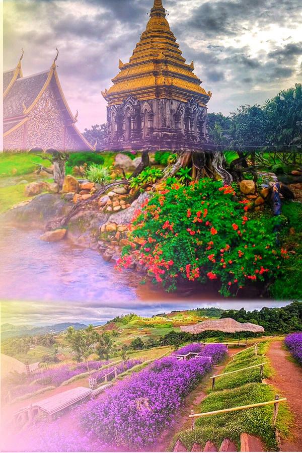 泰囧游戏3游戏攻略（解锁旅行过年新技能 泰国清迈三日自驾游攻略）