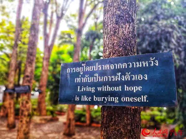 解锁“旅行过年”新技能 泰国清迈三日自驾游攻略