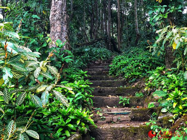 解锁“旅行过年”新技能 泰国清迈三日自驾游攻略
