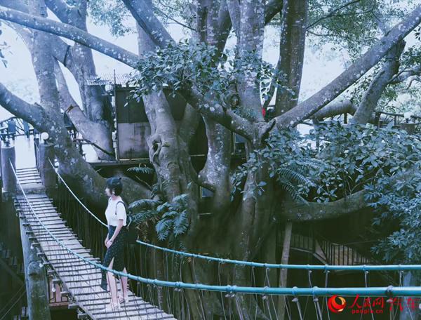 解锁“旅行过年”新技能 泰国清迈三日自驾游攻略