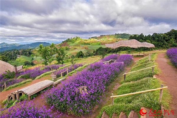解锁“旅行过年”新技能 泰国清迈三日自驾游攻略