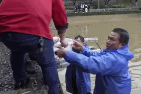 又是别人家的学校！人工湖里捞出2000斤鱼 全校师生免费吃