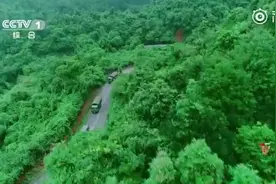 “爸爸妈妈，请你们原谅我”视频封面