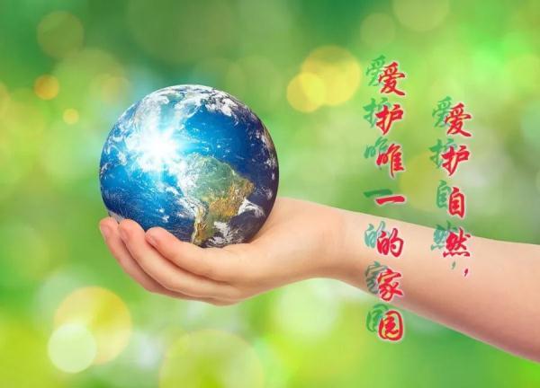 乌龟和甲鱼有什么区别？
