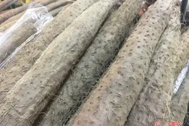 山药去皮是麻烦事，接触会引起山药过敏而发痒 山药痒手怎么办？图片