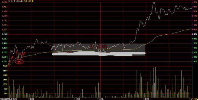 股票操盘手不想告诉世人的秘密（主力打死不肯泄露的“分时图秘密”）