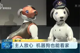 日本研发智能机器狗，俨然一个移动的摄像头，主人在外也放心啦视频封面