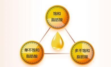 一桌健康营养的年夜饭 缺TA可不行