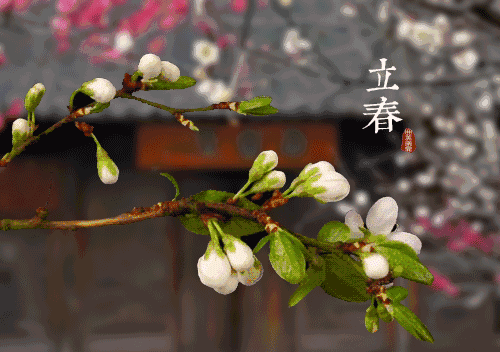 今天除夕逢立春！下一次要等到2057年……