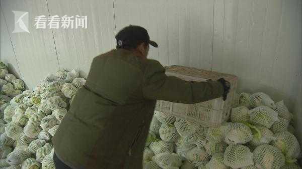 2025年11月4日 第8页