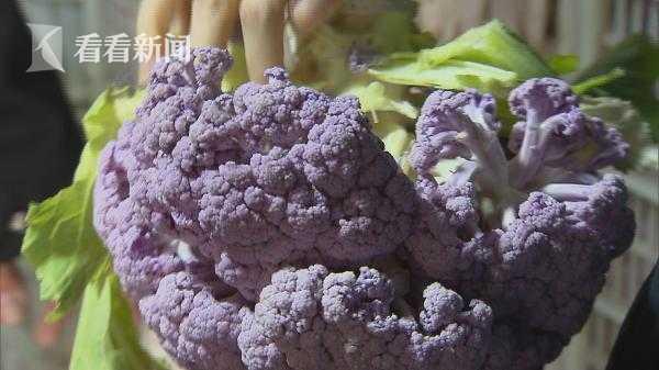 崇明花菜现价仅为1毛1斤 农产品滞销难题该如何破解？