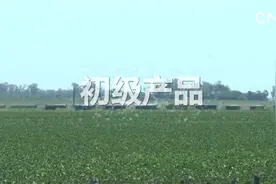 财经小贴士——初级产品视频封面
