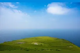 日本猫岛走红后吸引大批游客撸猫 当地村民却反感图片
