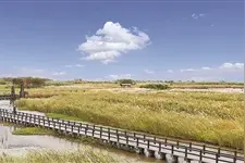 宁波杭州湾新区争做长三角一体化和大湾区战略高质量发展先行区图片