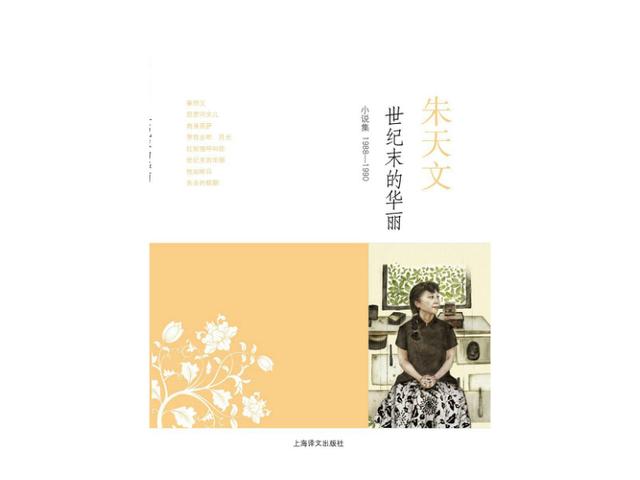 从安妮宝贝到庆山：一同成长的新中产中年危机
