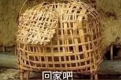自从开始追星，我脸都丢光了！图片