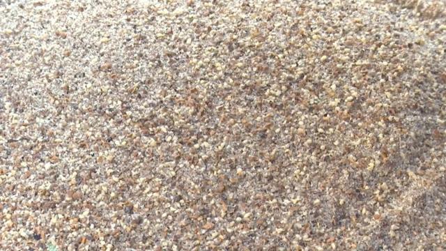 「今日宾川」宾川土榨核桃油，见过的人不多！