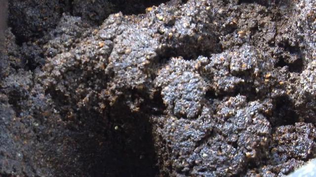 「今日宾川」宾川土榨核桃油，见过的人不多！