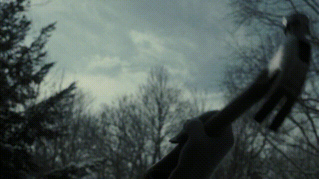 现实版孤儿怨上演怎么回事？电影孤儿怨恐怖吗真正结局是什么？