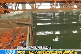 悬浮隧道工程研究首次开展水弹性整体物理模型实验图片