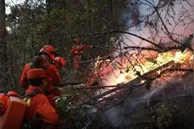 四川盐源发生森林火灾 147名消防员动用无人机29小时扑灭视频封面
