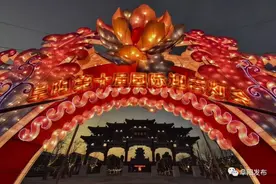 「航拍」阜阳生态乐园迎春灯会开始了！持续40天图片