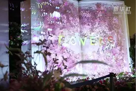 日本东京：寒冬时节共赏“数字繁花”视频封面