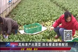 高标准高质量产出好蔬菜，田头餐桌连起来，新鲜配送尝口鲜嫩