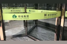 房价翻倍后毁约，自称绿地集团合作楼盘视频封面