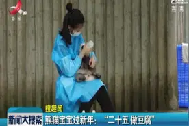 熊猫宝宝过新年：“二十五 做豆腐”视频封面