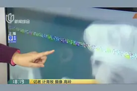 刚买的电视屏幕现明显彩条，赶紧打电话保修，检查后：你家信号问题！视频封面