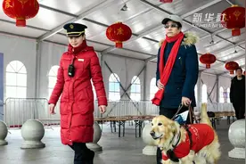 “小Q带我回家”——导盲犬的春运之旅