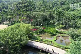海南成研学旅行热门目的地视频封面