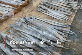 哈尔滨冬天的“冷”与“热”