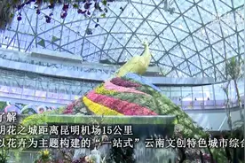 超美！云南首个“城市候机港”正式启用视频封面