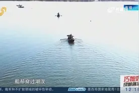 微山湖四鼻鲤鱼味道美，“捕鱼能手”鱼鹰是如何将他们收入囊中的？视频封面