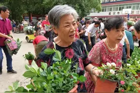 晴川历历汉阳树，芳草萋萋鹦鹉洲，汉阳园林让汉阳一直美下去图片