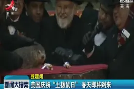 美国庆祝“土拨鼠日” 春天即将到来视频封面