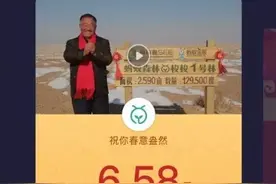 3.3亿人集齐五福微信红包被挤爆 应用商城也崩了……图片