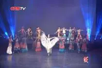 “七彩云南·相约台湾”等两岸文化交流活动在高雄举行视频封面