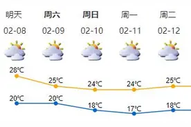 春运返深时段南方天气偏暖多雨雾 深圳迎来“最热年初三”图片