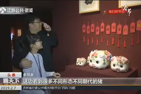 富贵猪——南京博物院藏猪文物展开展，参观者：很有意义视频封面