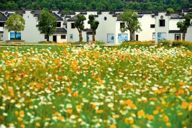 乡村民宿蝶变：深山老林里，究竟藏着怎样的致富密码？