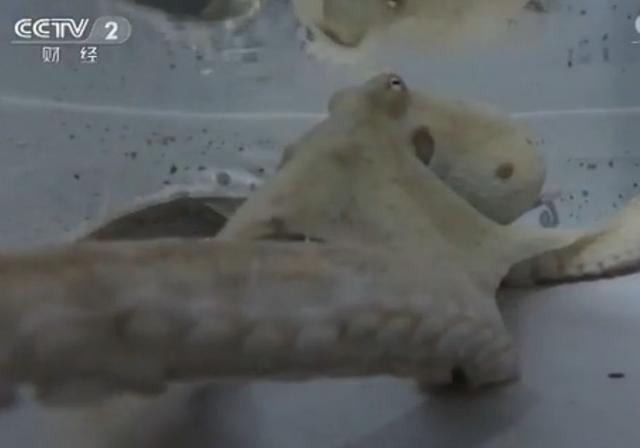 「荐读」这40个冷知识，据说只有1%的人知道，颠覆认知！