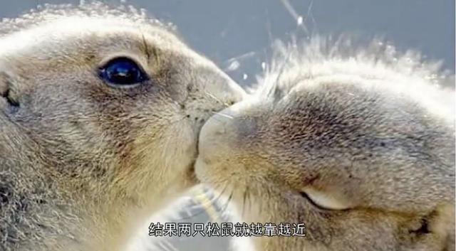 「荐读」这40个冷知识，据说只有1%的人知道，颠覆认知！