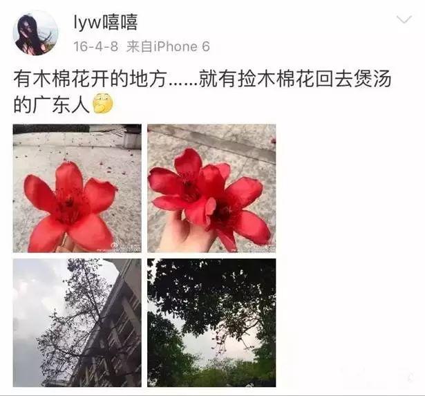 花胶鸡脚蝎子汤 2025年花胶鸡脚汤放什么材料