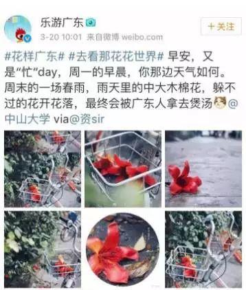 花胶鸡脚蝎子汤 2025年花胶鸡脚汤放什么材料